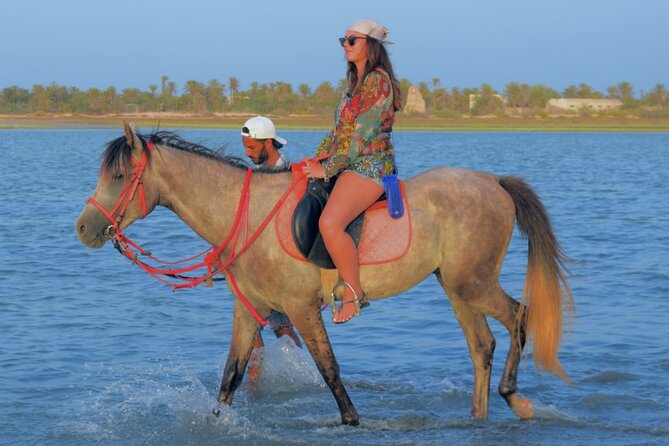 Explore Djerba With Our Four-Legged Friends - Animal Interaction Options