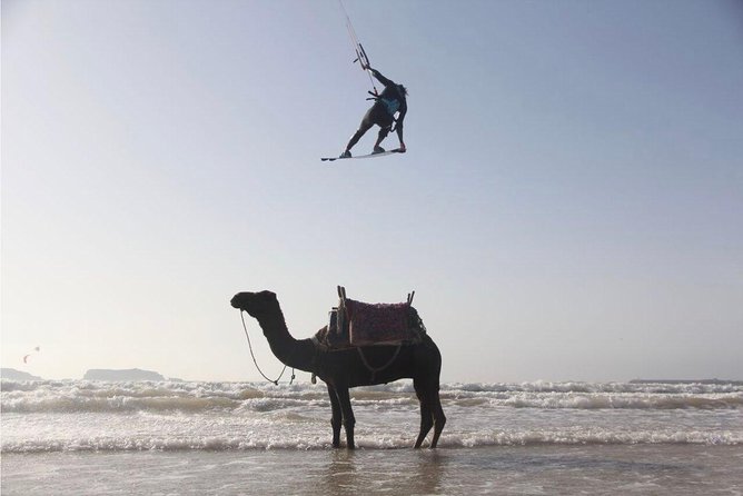 Explore Essaouira on a Day Trip From Marrakech - Exploring the Medina