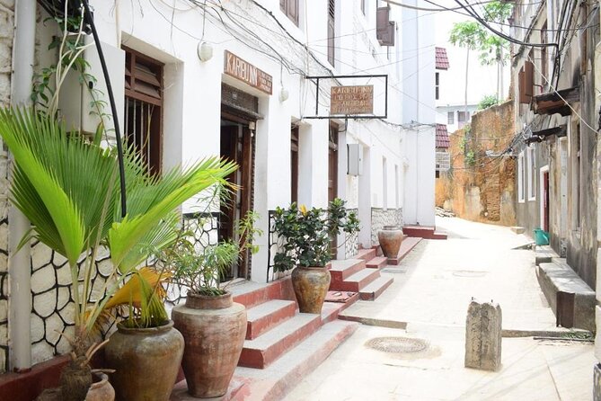 Explore The Stone Town in Zanzibar - Experience the Thriving Art Scene