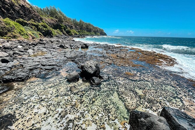 Explore The Wild South - Tour Inclusions and Meeting Details