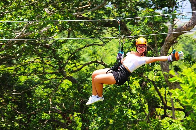 Extreme Zipline, City Tour, Chocolate, Rum Factory, Beach Break, Transfer - Transportation and Accessibility