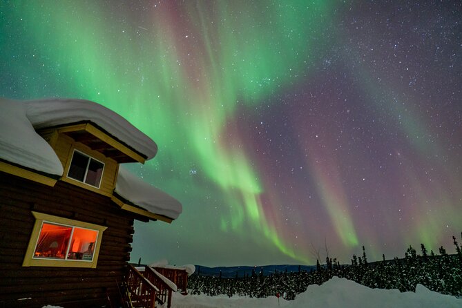 Fairbanks Northern Lights Tour - What to Expect During the Tour
