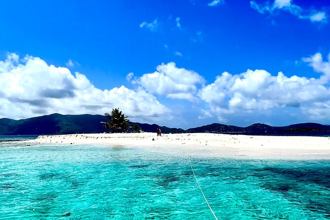 Family Snorkel Safari. ️Private Boat! - Boat and Tour Details