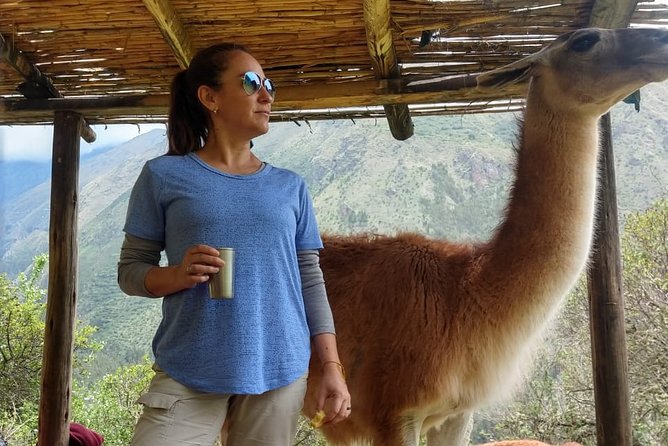 Family Trek With Llamas (Full Day) - Memories and Highlights