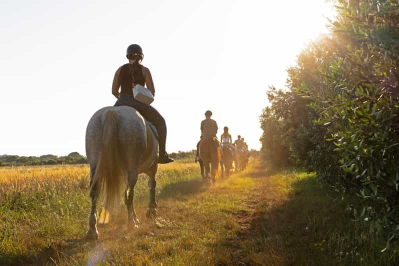 Fazana: Sunset 1-Hour Horse Riding in Nature With Guide - Meeting Point