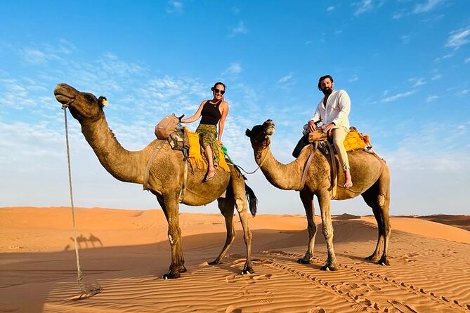 Fes to Fes Private Desert Tour 1-Night 2-Day Tour Luxury Camps - Dining and Meals Included