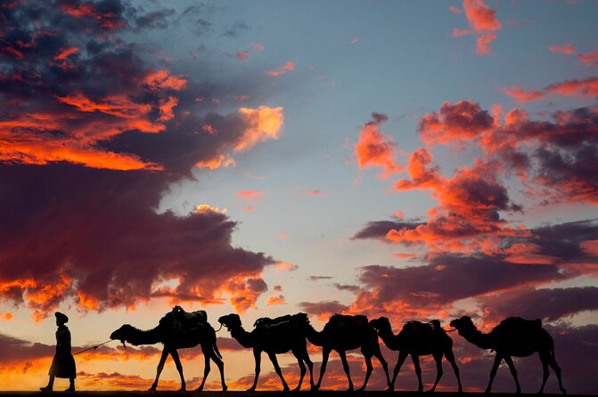 Fes To Marrakech: 3-Day Desert Tour - Traveler Experiences