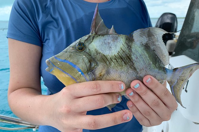Fishing Charters, and Wildlife Tours and Merchandise - Deep-sea and In-shore Fishing