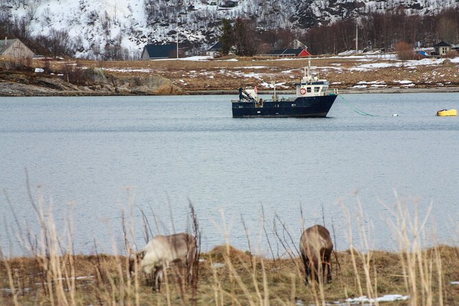 Fjord Adventure With Local - Fjord Adventure Highlights