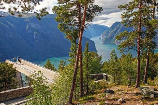 Flam: The Spectacular Stegastein Viewpoint Tour (Small Group) - Weather and Viewing Conditions