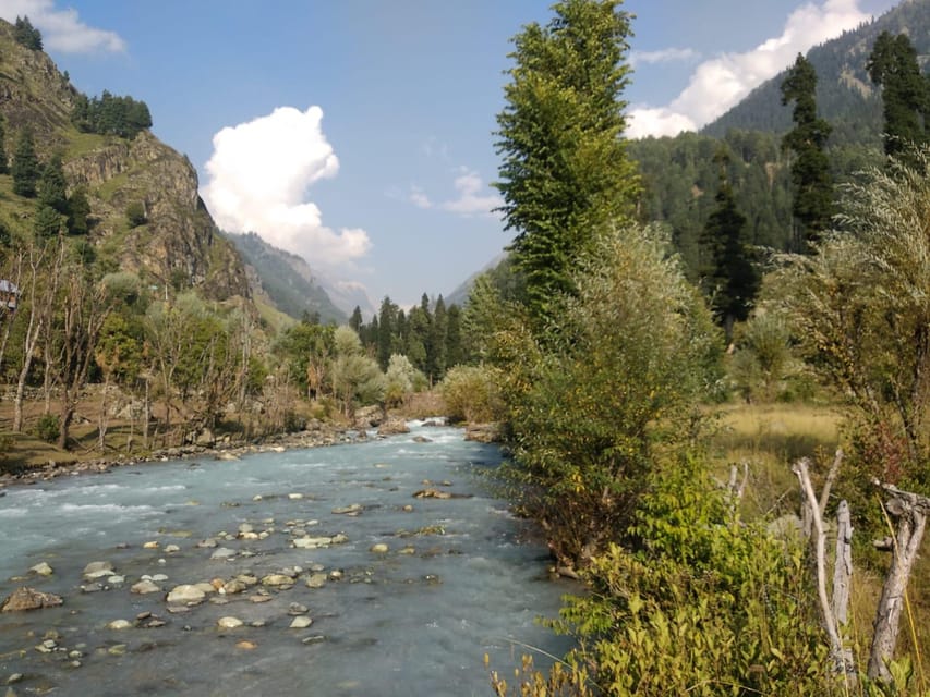 Fly Fishing Kashmir Pristine Water for Rainbow & Brown Trout - Flexible Program Customization