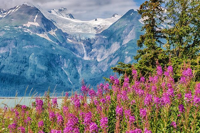 Focus on Haines Private Nature / Photography Tour - Booking Information