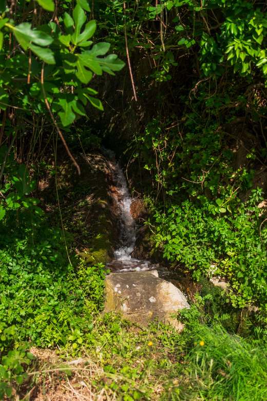 Follow the Riverside Hiking Tour (Small Group Experience) - Meeting Point