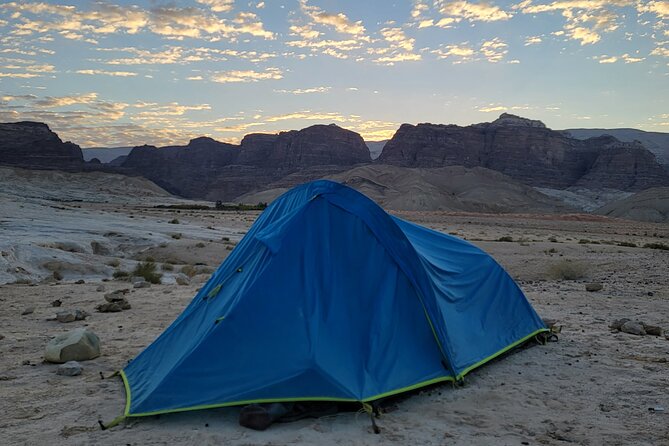 Following the Nabateans - Trek From Petra to Wadi Rum (Group) - Customer Experiences