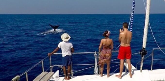 Four-Day Northern Sri Lanka Cruise - Onboard Experience