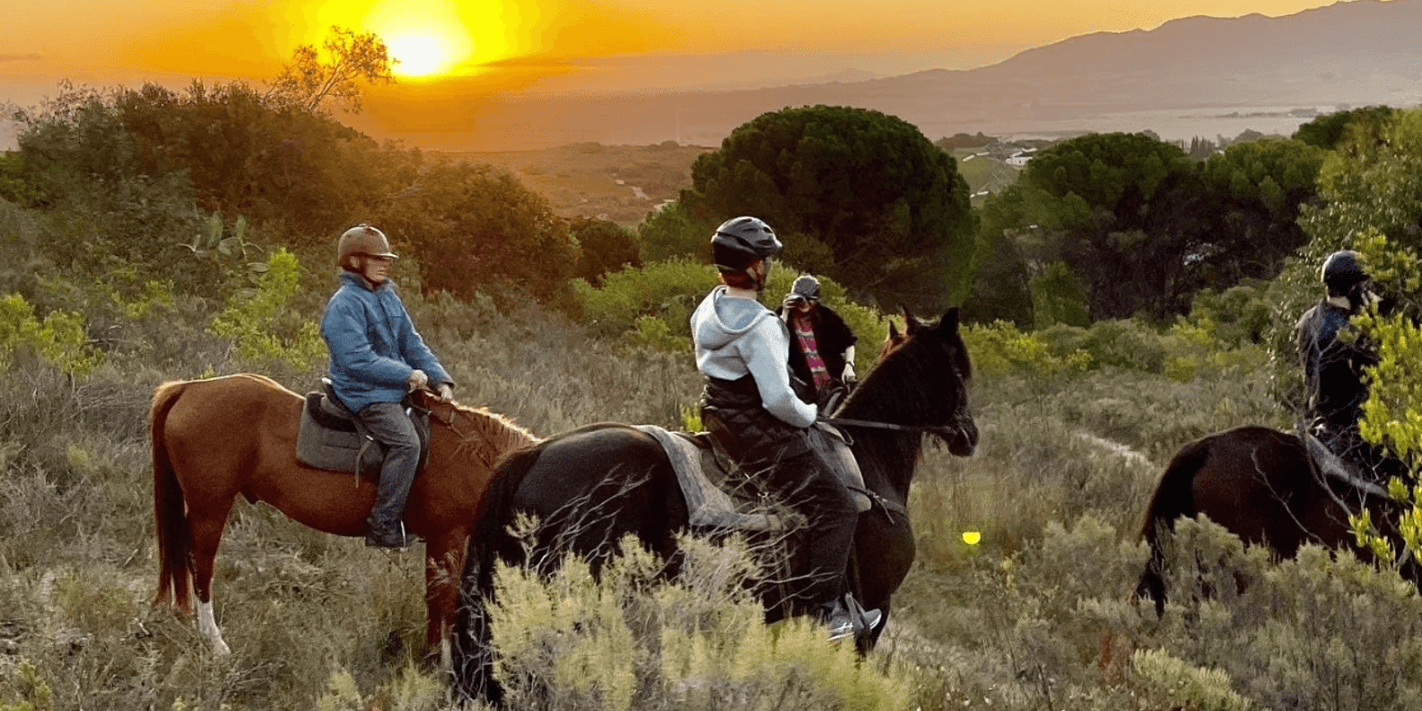 Franschhoek: 2h Horseback Riding at Sunset With Sundowners - What to Bring