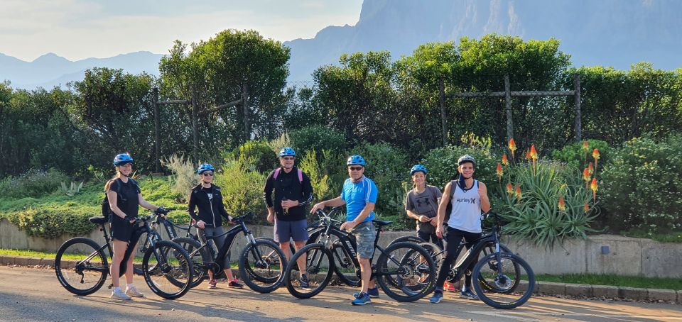 Franschhoek: E-Bike Tour With Wine Tasting and Lunch - Discovering Wineland Scenery