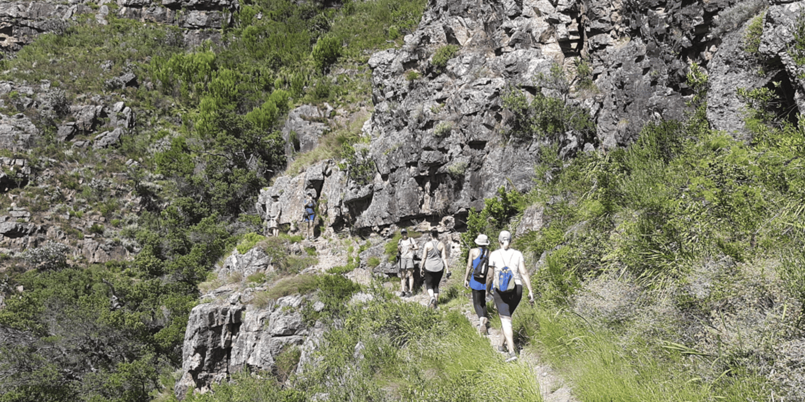 Franschhoek: Half Day Guided Nature Hike and Wine Tasting - Important Packing and Preparation