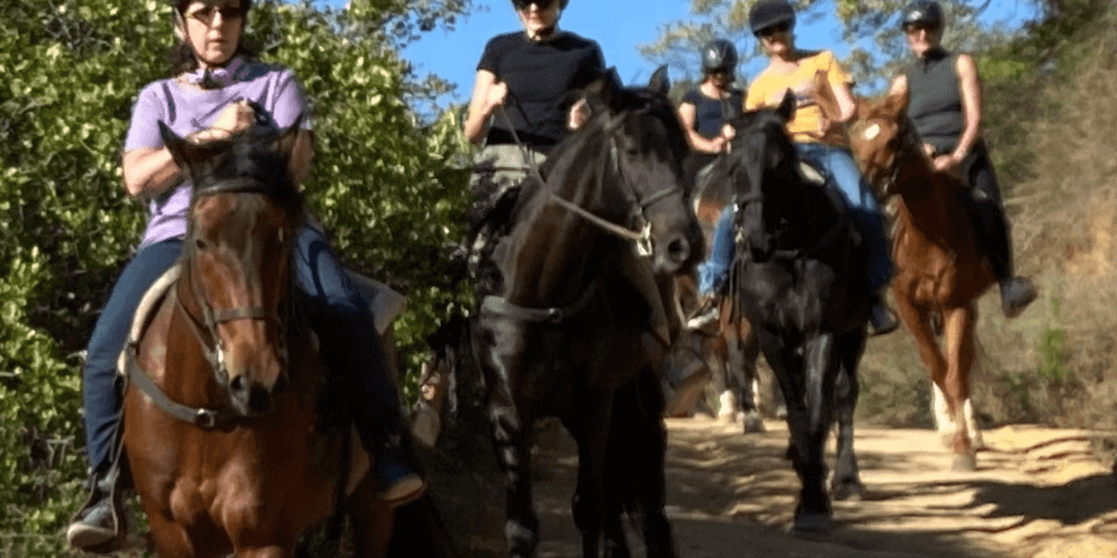 Franschhoek: Half Day Horse Trail and Wine Tasting - Frequently Asked Questions