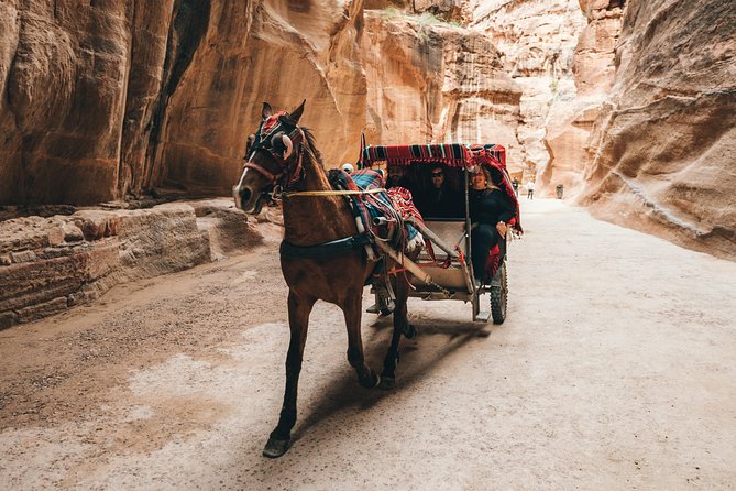 FROM AMMAN | Petra & Wadi Rum in One Day | the Jordanian Mappers - Explore Wadi Rum