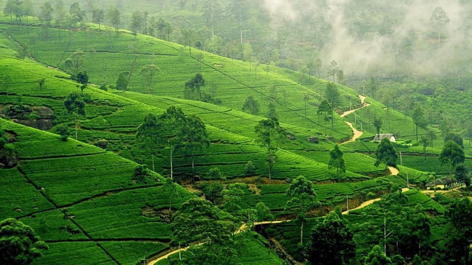 From Bangalore: 03 Days, Ooty Hill Station Luxurious Tour - Reserve and Pay Details