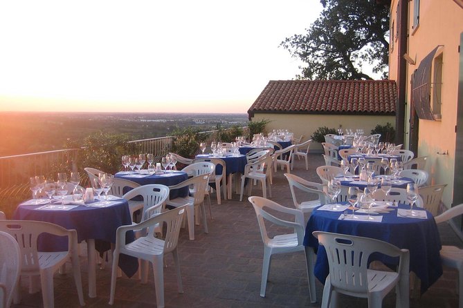 From Bologna: Wine Tasting and Vineyard Tour With the Winemaker - Booking and Cancellation Policy
