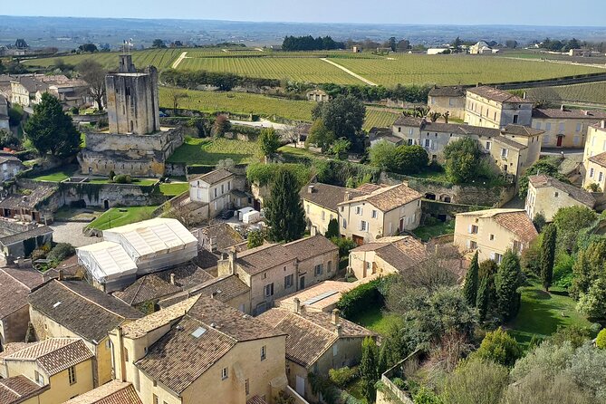 From Bordeaux: Saint-Émilion Half-Day Trip With Wine Tasting - Wine and Macaron Tasting