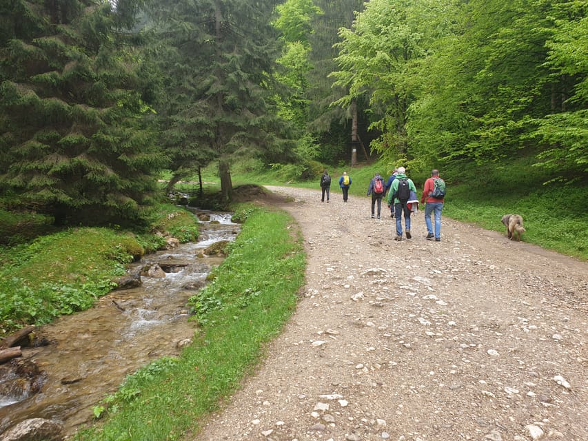 From Brasov: Hiking in Piatra Craiului National Park - What to Expect