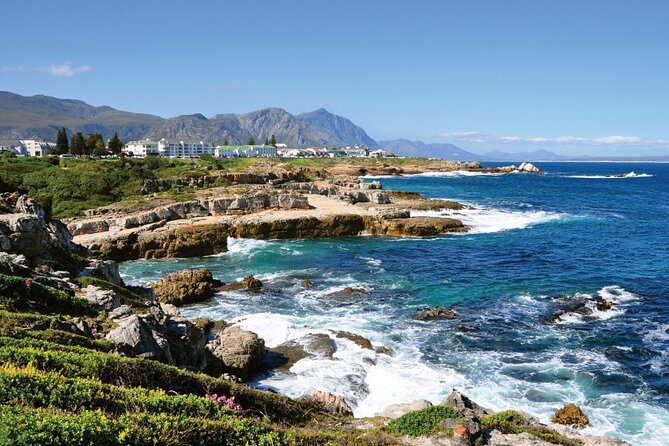 From Cape Town: Full Day Guided Hermanus and Whale Tour - Traveler Reviews