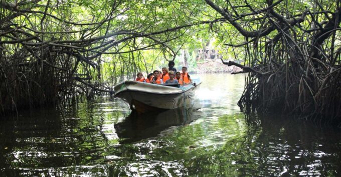 From Colombo/Negombo : Bentota & Galle Day Trip - Madu Ganga Boat Cruise