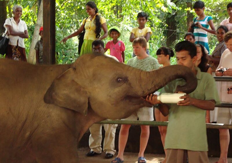 From Colombo: Private 2-Day Sri Lanka Highlights Trip - Important Information