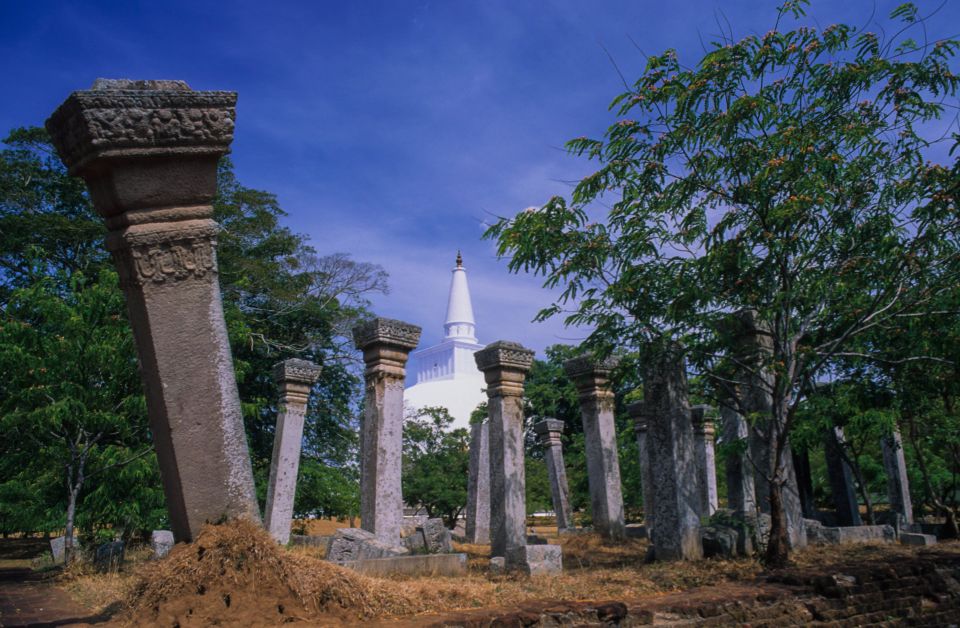 From Dambulla: Sacred City of Anuradhapura Private Day Tour - Transportation and Guide