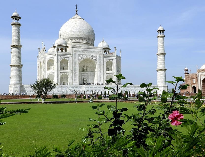 From Delhi: Taj Mahal Sunrise Tour W/ Elephant Conservation - Wildlife Viewing