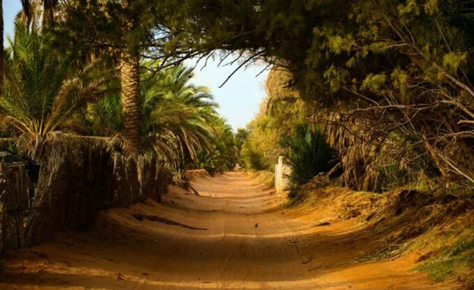 From Djerba Midun: 2-Day Desert and Ancient Cottage Tour - Inclusions and Exclusions