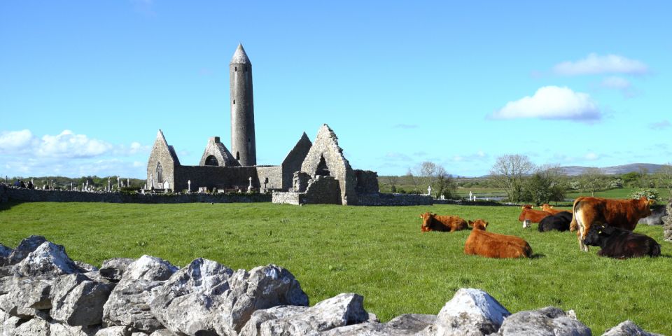 From Dublin: Cliffs of Moher, Burren & Galway Day Tour - Booking and Cancellation Policy