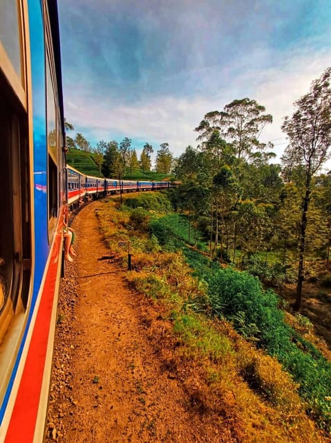 From Ella :All-Inclusive Day Trip to Experience Ella Heights - Scenic Train Ride Through Tea Plantations