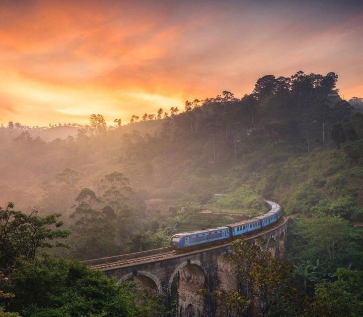 From Ella :- Little Adam'S Peak & 9 Arch Bridge Tour - Booking and Availability