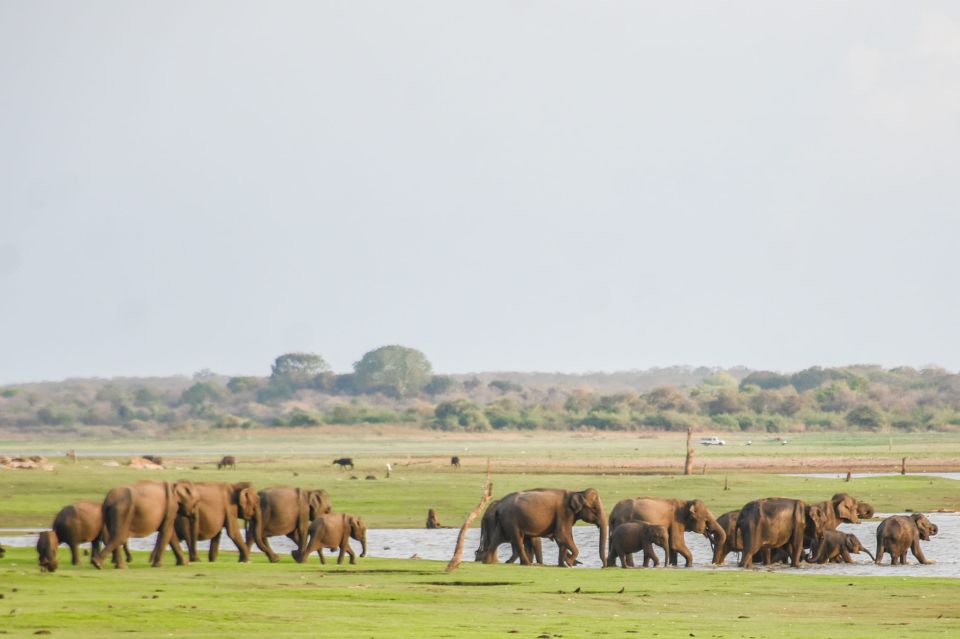 From Ella - Udawalawe National Park Private Safari - Recommended Attire and Items