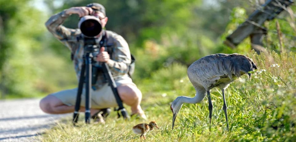 From Galle/Mirissa/Hikkaduwa- Udawalawe National Park Safari - Pickup and Drop-off Locations