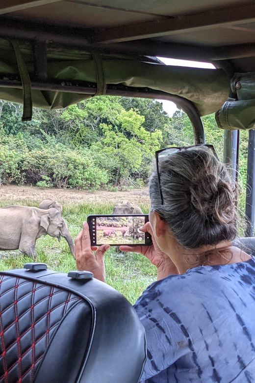 From Galle/ Mirissa/ Hikkaduwa - Yala National Park Safari - Important Considerations