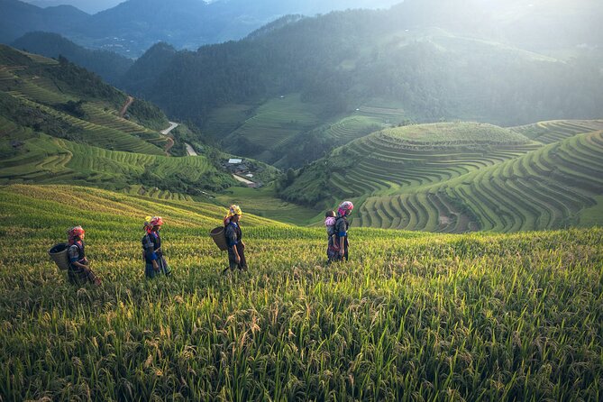 From Hanoi: 3 Days Sapa Trekking & Ethnic Villages by Dcar - Booking Information