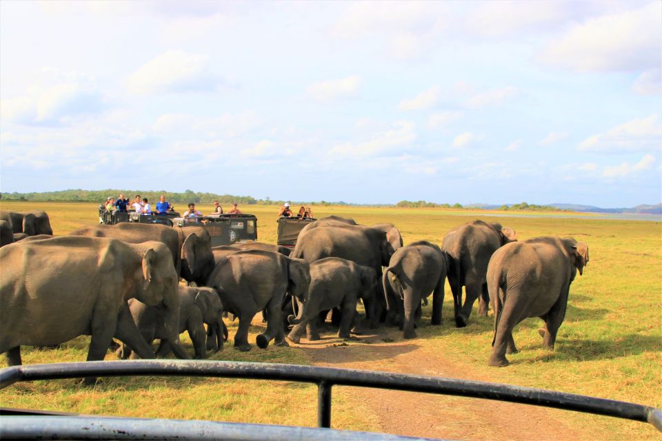 From Negombo: Dambulla Caves & Kaudulla National Park Safari - Inclusions