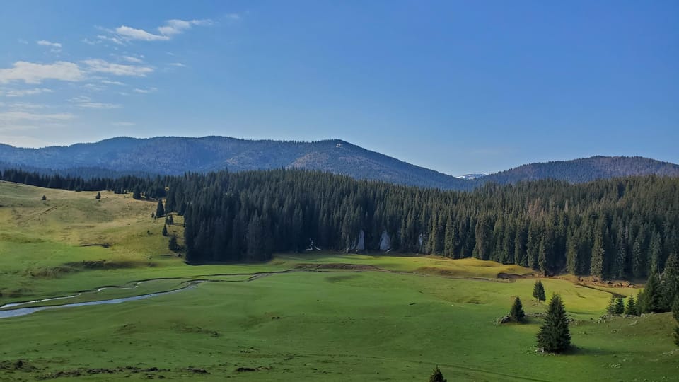 From Oradea:Carpathian Mountains Guided Scenic Hike - Booking and Cancellation Policy