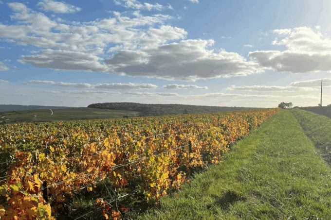 From Paris: Private Sancerre Wine Tour W 10 Tastings & Lunch - Traditional French Lunch With Pairings