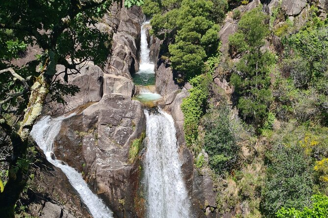 From Porto: Peneda-Gerês National Park Full Day Tour - Customer Reviews