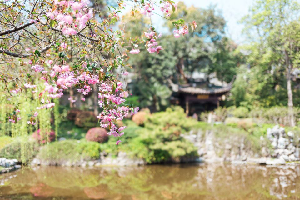 From Shanghai: Suzhou Private Full-Day Trip by Car - Strolling Through Shangtang Street