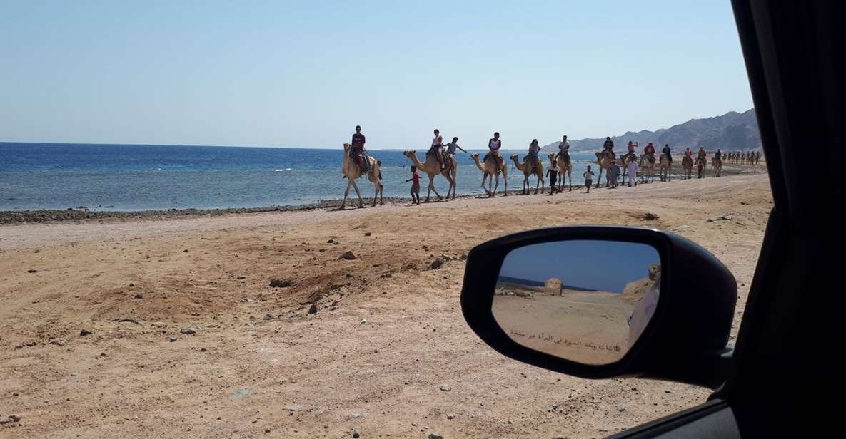 From Sharm El Sheikh: Full Day in Dahab With Snorkeling - Travel Tips