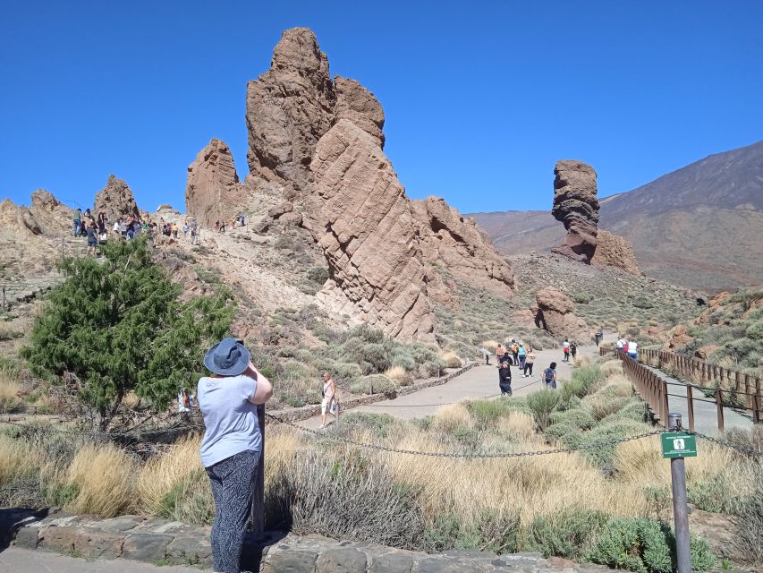 From Tenerife: Teide National Park Guided Day Trip by Bus - Customer Feedback and Ratings