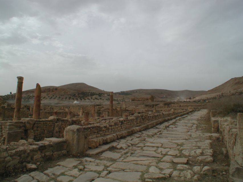 From Tunis: Bulla Regia & Dougga Archaeologial Tour & Lunch - Transportation and Accessibility