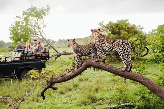From Yala :- Yala National Park Thrilling Half-Day Safari - Pickup and Drop-off Locations